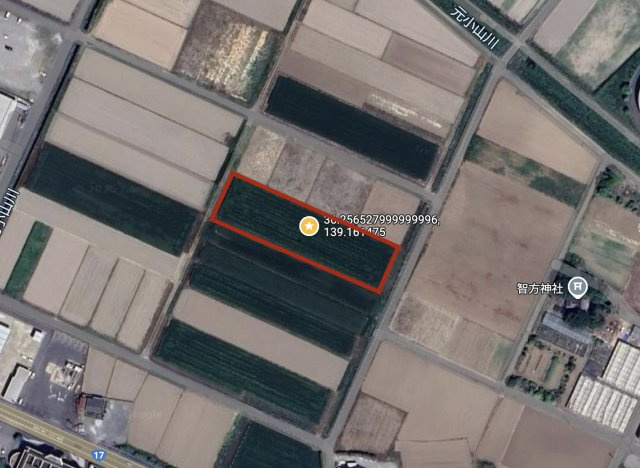 [農地]埼玉県児玉郡上里町神保原町1823(青地)の地図