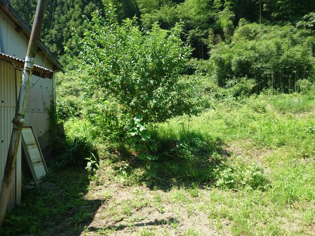 【外観】の画像