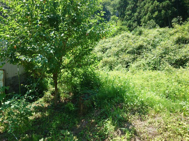 【外観】の画像