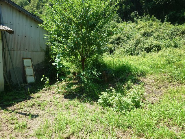 【外観】の画像