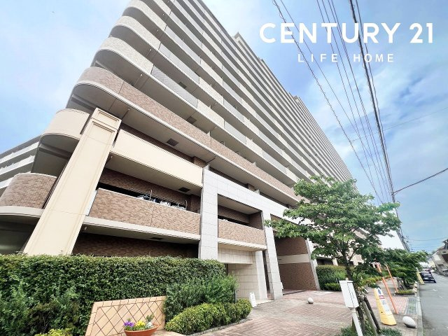 グランセリーナの画像