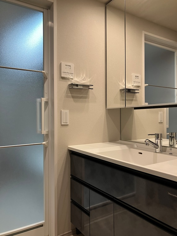 ルフォン横浜根岸の洗面所