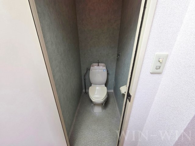 グリーンステージわたなべのトイレ