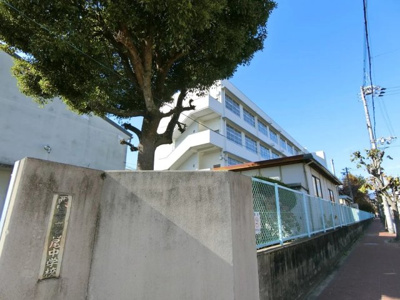 【前面道路含む現地写真】 | 西宮市　浜甲子園1丁目　新築戸建