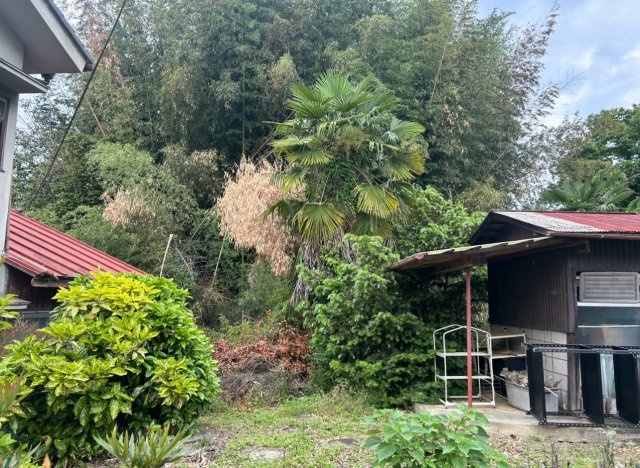 安中市松井田町新堀1254の庭