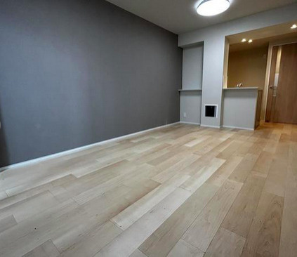 アーバネックス文京小石川の居間・リビング