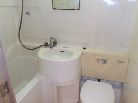 オリーブのその他