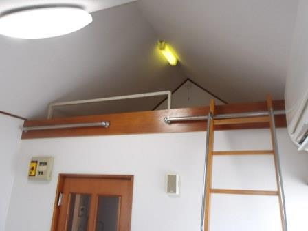 オリーブの内装