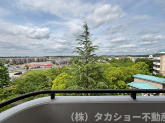 【展望】
