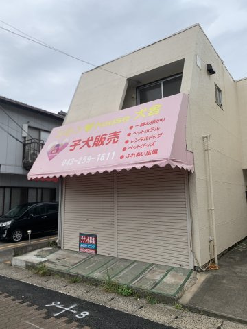 千葉市稲毛区宮野木町のテラスの画像