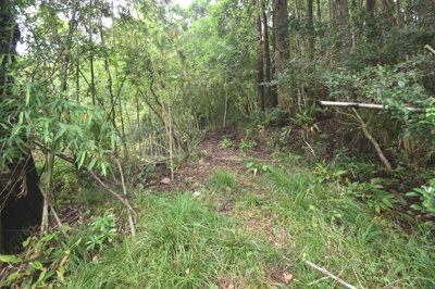 【外観】 | 城上町字角床 土地