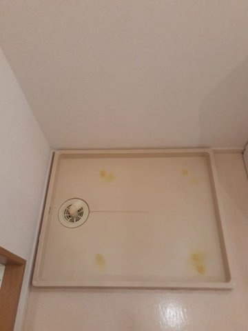 ピュアティ弐番館のその他