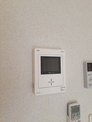 【セキュリティ】 | ラフレシール２