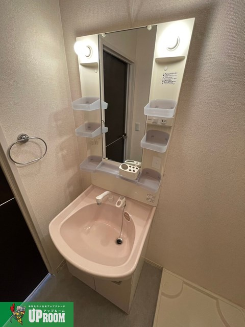 ロイヤルタウンDの洗面所