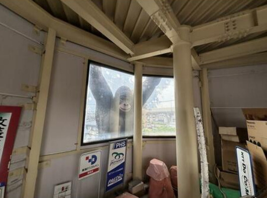 チコム新林店舗の内装