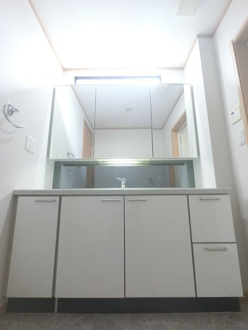 宮野木町貸戸建の独立洗面台