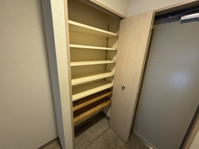 リッツサントノーレの収納