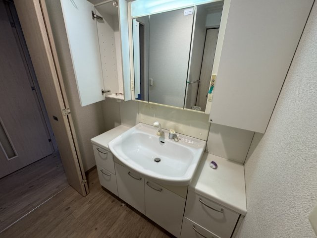 リッツサントノーレの独立洗面台