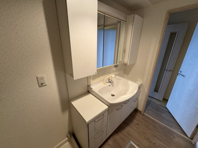 リッツサントノーレの独立洗面台