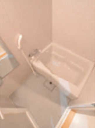 ベイサイドマナーユキの浴室