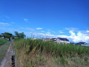 彦名町　241坪の画像