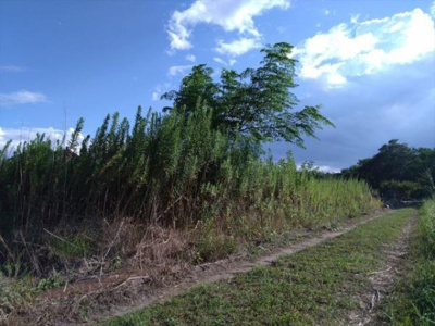 【その他】 | 彦名町　241坪