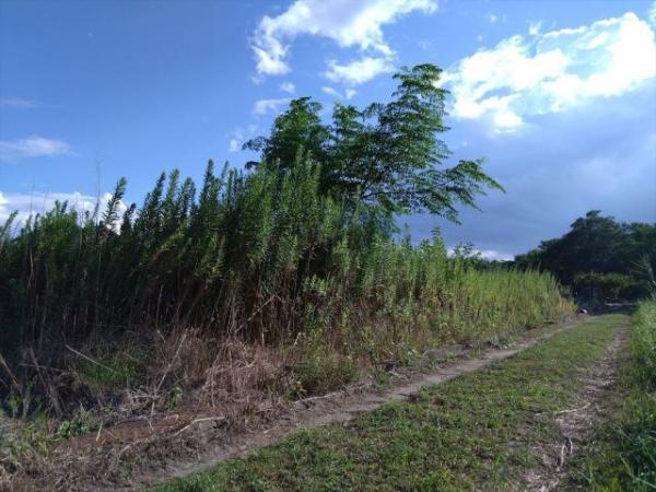 【その他】 | 彦名町　241坪