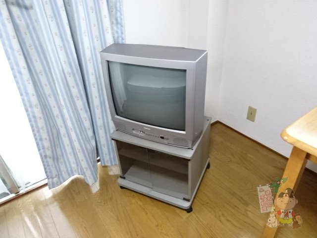 アイヨコヤマのその他