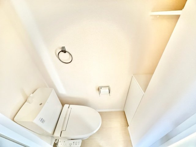 レオネクストベルテールのその他