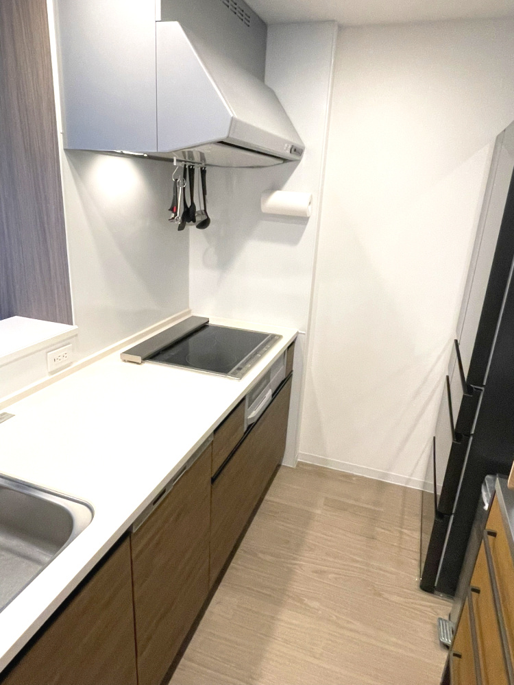 アルファスマート神辺Ⅲのキッチン