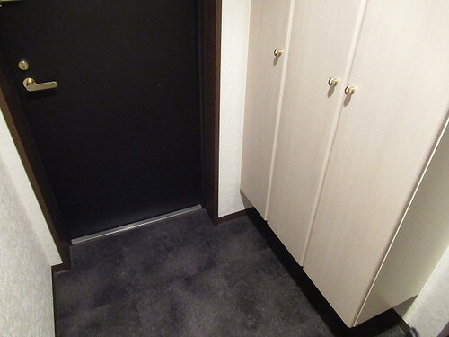 ライオンズヴィアーレ大宮の玄関|玄関