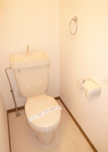 ロイヤルパークマンションのトイレ