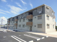 セブンリーフクローバーの画像