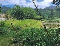 あきる野市五日市　売地の外観