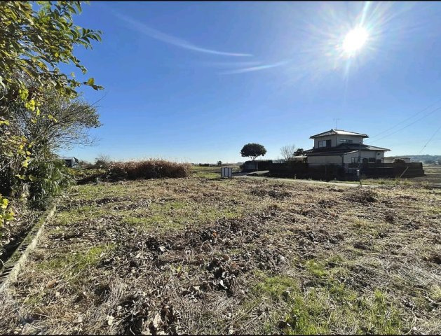 龍ケ崎市長沖町　約100坪土地の外観|敷地内から見た現地写真