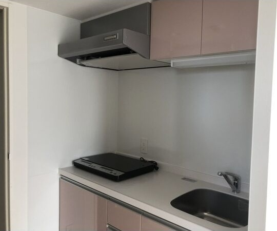 Blue Ocean Sakoのキッチン