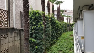 【展望】 | リバーサイドハイツ