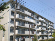 藤の台団地２－４９号棟の画像