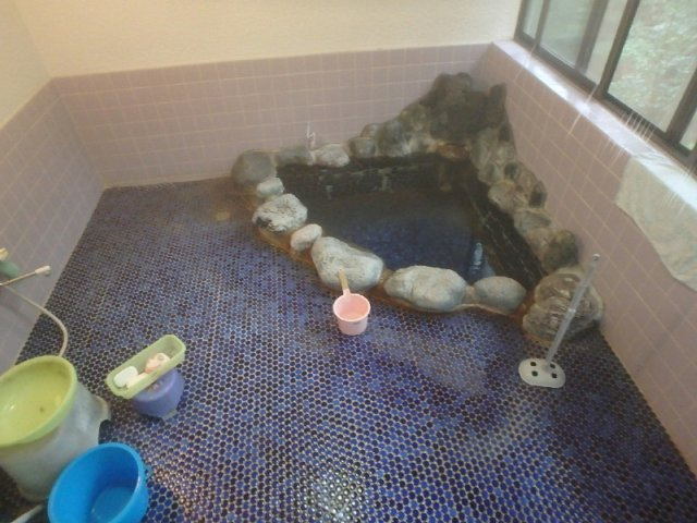 H0247H　大川戸建の浴室