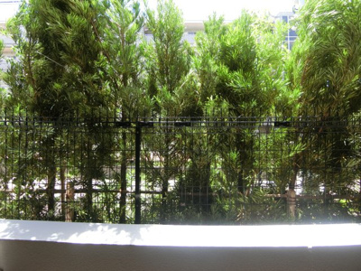 【展望】 | ヴェール・クレール武蔵小杉