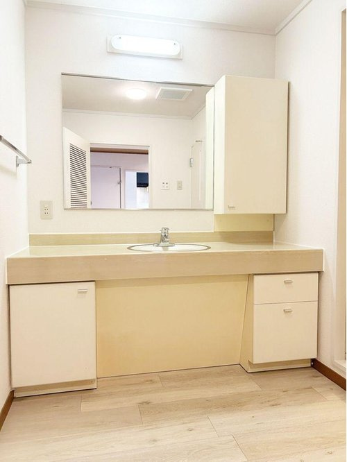 白鷹甲子園マンションの洗面所