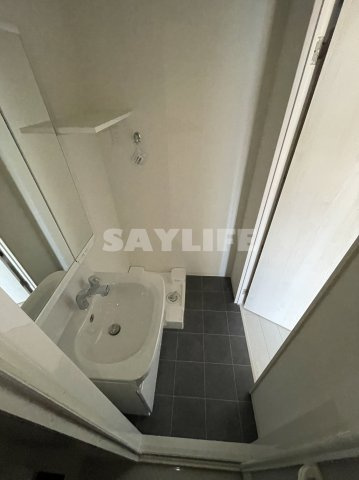 ソルテラスOSAKAJO　ESTの洗面所