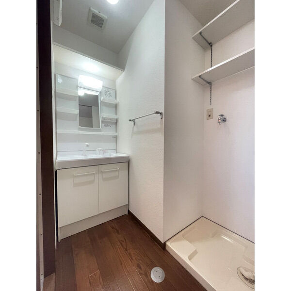 第5秋葉ビル【キャッシュバック対象】のその他|明るい洗面所です