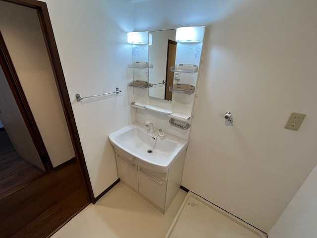 光明池サニーハイツの洗面所