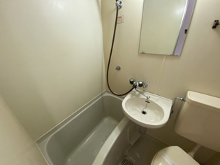 パレス甲子園の浴室