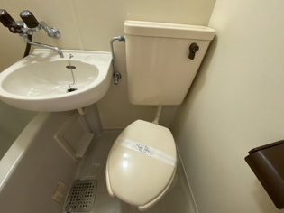 パレス甲子園のトイレ