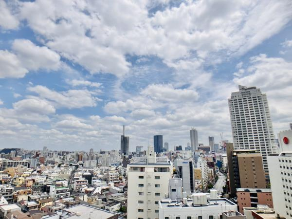 Brillia Tower 池袋 Westの展望