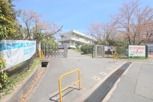 シャトードールの周辺|小学校「生駒市立生駒小学校まで1236m」