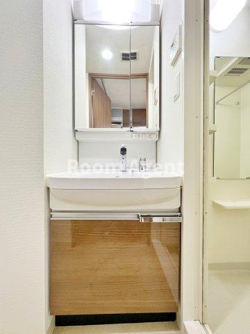 プレサンス丸の内城雅の洗面所