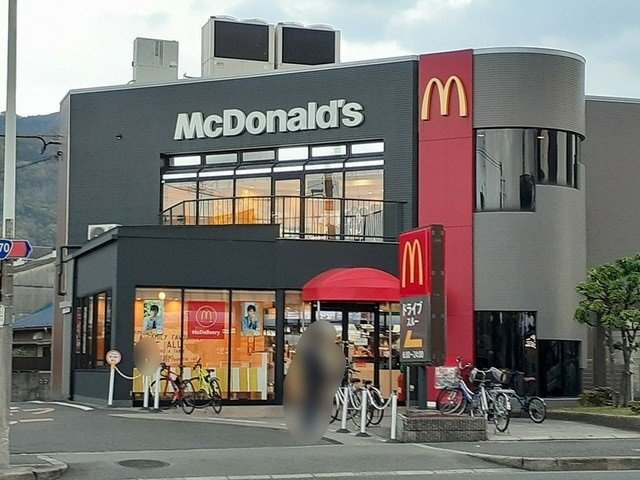 グラン　ソレイユ　（高安北）の周辺|マクドナルド様まで250m